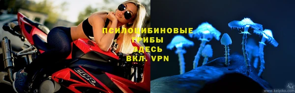 мет Абаза
