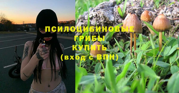 бутират Саяногорск