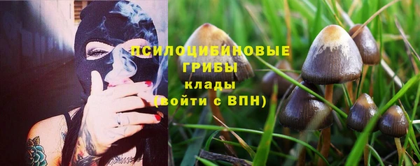 бутират Саяногорск