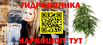 метадон Донской