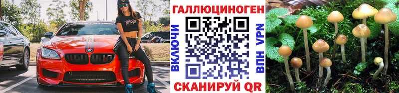 купить наркотики сайты Аксай Псилоцибиновые грибы Cubensis